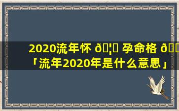 2020流年怀 🦊 孕命格 🐡 「流年2020年是什么意思」